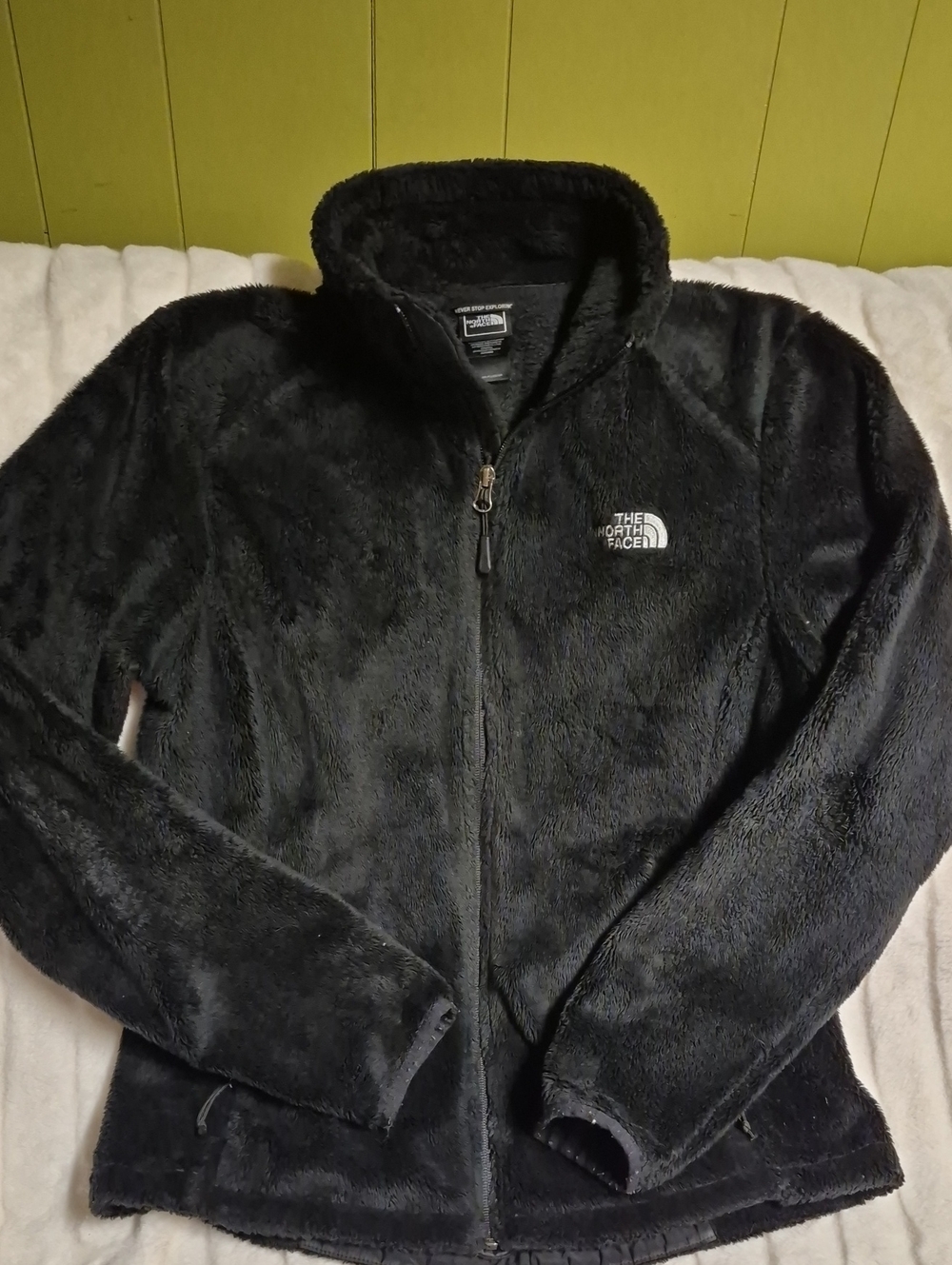 The North Face Black Plush Full-Zip Teddy Jacket